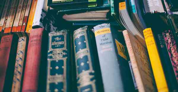 外国语单招大数据的行业文章