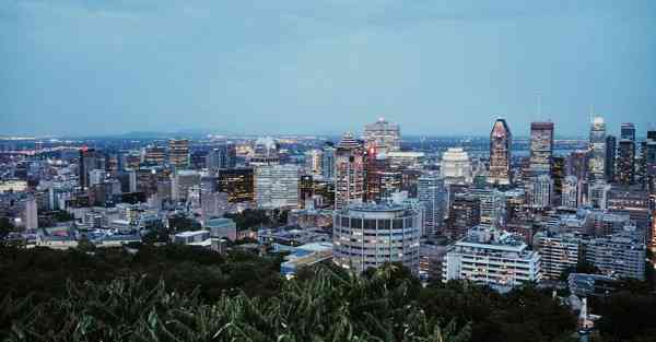 职业类别大数据（职业类别大数据是什么）