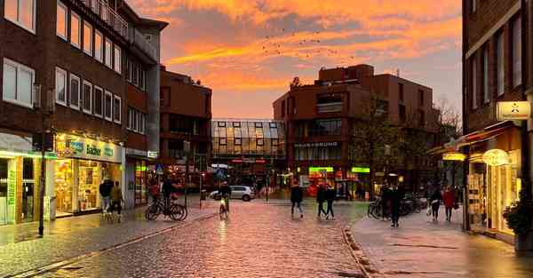 新加坡留学大数据（新加坡留学大数据分析）