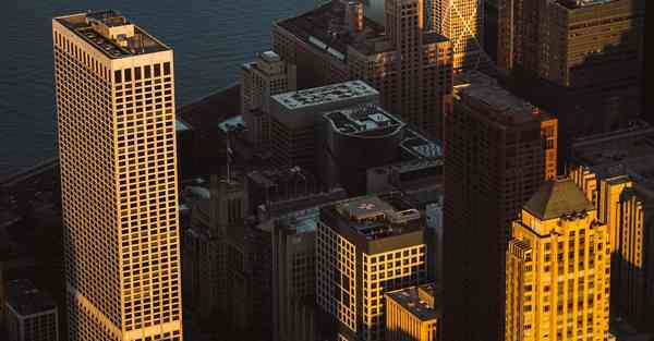 外国语单招大数据的行业文章