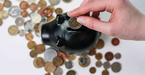 恩萨智能机器人  恩萨智能机器人说明书