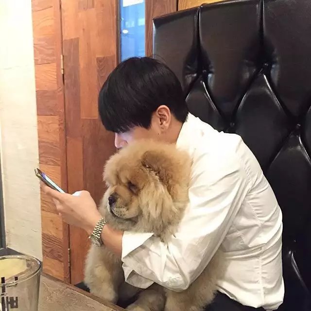 吉洋永惠