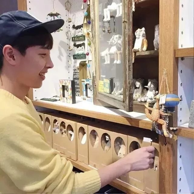 唐美枫才